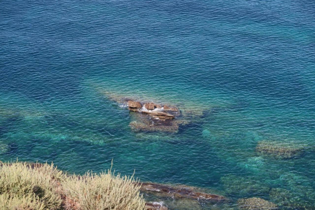 Kris87 A 5 Minuti Dal Porto Apartment Alghero Bagian luar foto